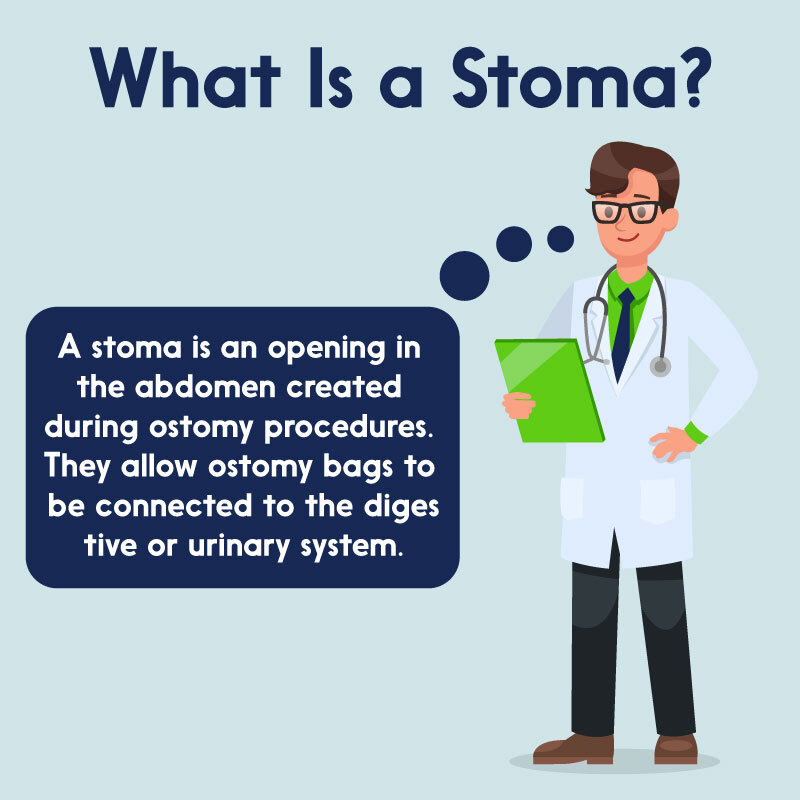 What is a stoma?